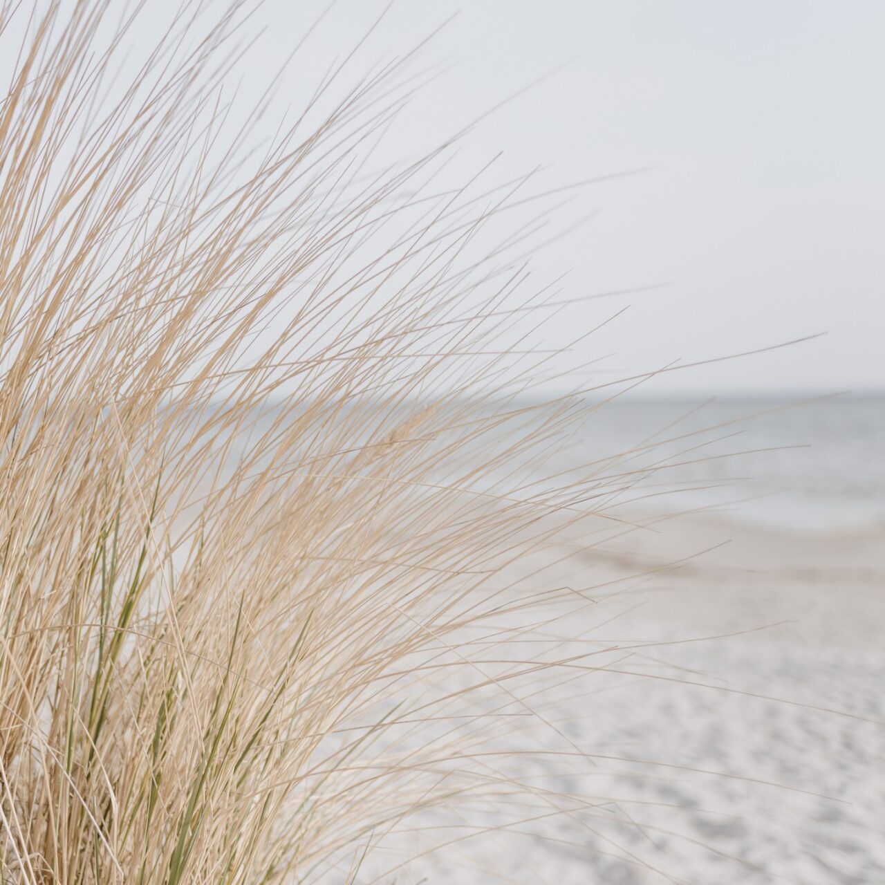 Hypnotherapy Nelson - the calm coastal imagery used by the practice in Nelson