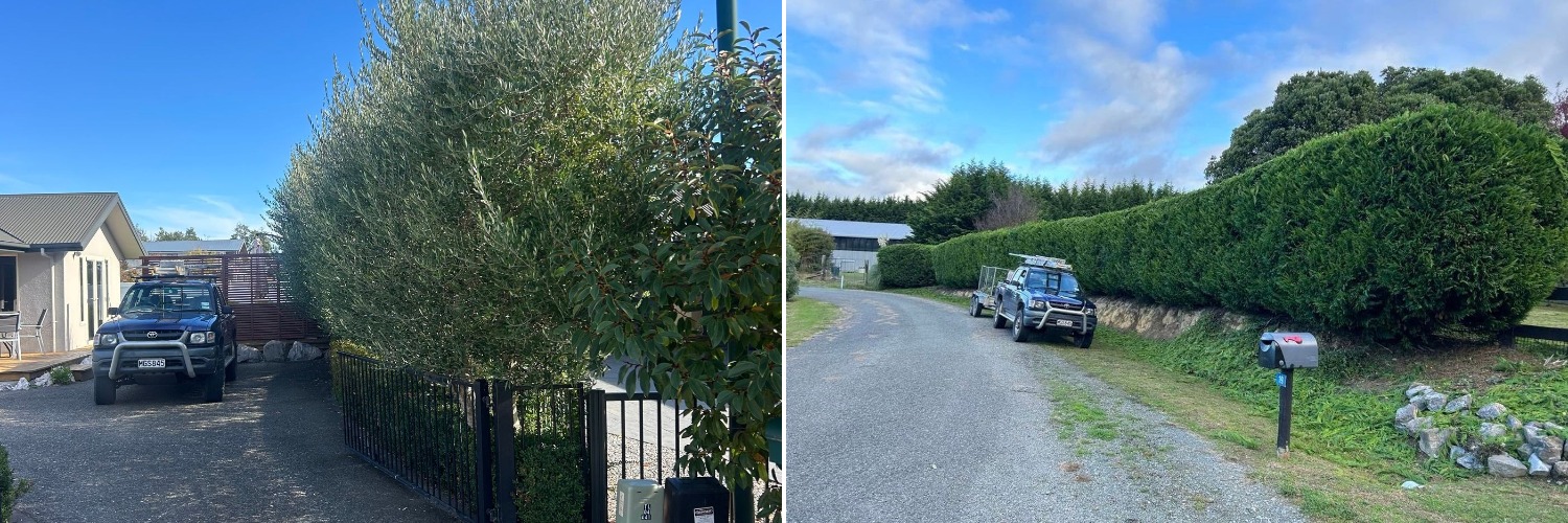 Tasman Treehugger - tree pruning and hedge trimming in Nelson