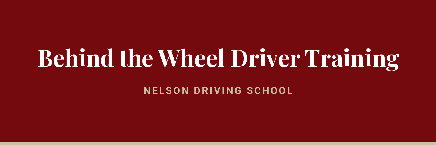 Behind the Wheel Driver Training - driving school in Nelson